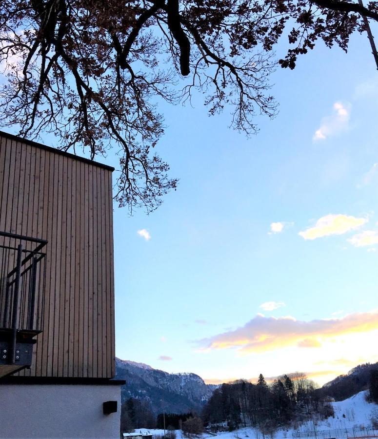 Kampenzeit Loft Mit Traumhaftem Panoramablick Leilighet Aschau im Chiemgau Eksteriør bilde