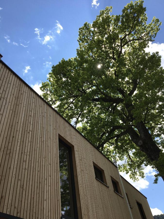 Kampenzeit Loft Mit Traumhaftem Panoramablick Leilighet Aschau im Chiemgau Eksteriør bilde