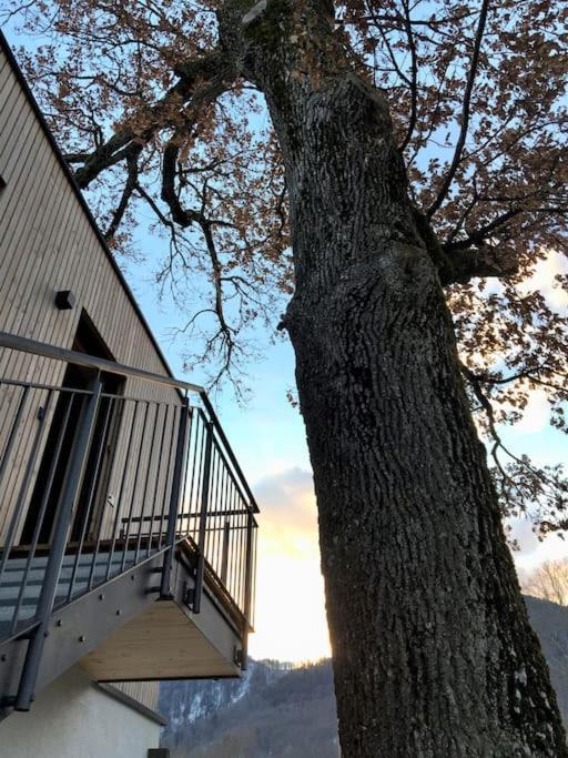 Kampenzeit Loft Mit Traumhaftem Panoramablick Leilighet Aschau im Chiemgau Eksteriør bilde